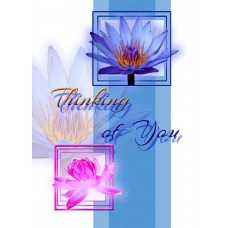 FLORAL BEAUTIES Lotus Gems